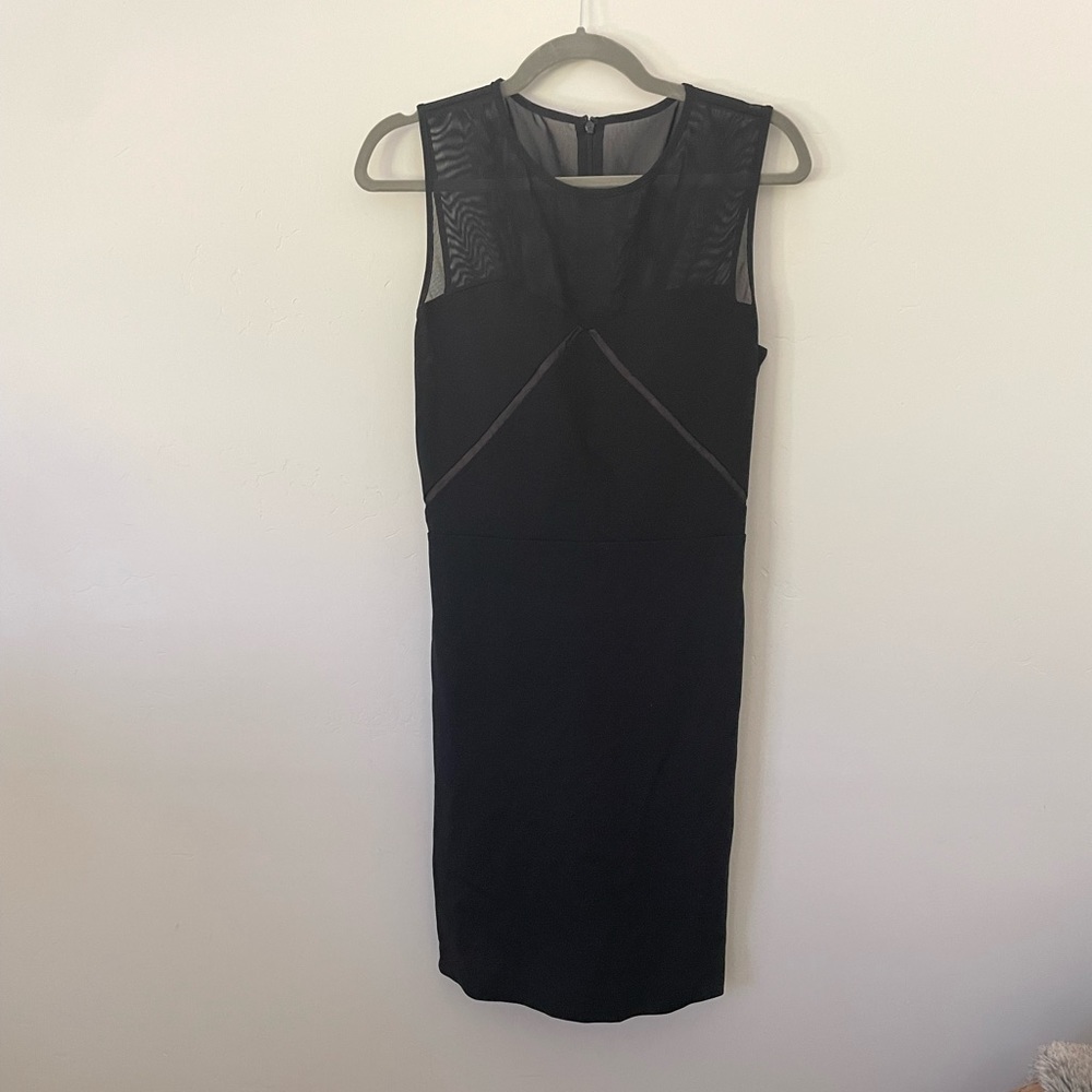 Erin Body Con dress with Mesh detail